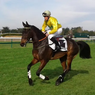 Hippisme : nos préférés pour ce dimanche 26 mars